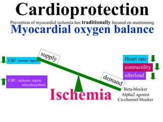 CardioprotectionPrevention of myocardial ischemia has traditionally focused on maintaining
Myocardial oxygen balance
Heart rate
contractility
afterload
CBF: normal region
CBF: ischemic region
subendocardium
Ischemia
Beta-blocker
Alpha2 agonist
Ca-channel blocker
 
