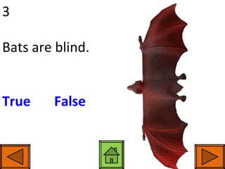 3 Bats are blind. True     False 