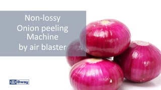Non-lossy
Onion peeling
Machine
by air blaster
 