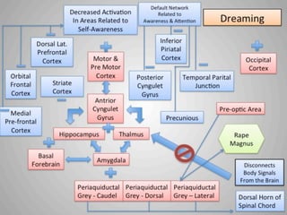 Neurobiologcal  Model of Non lucid dreaming