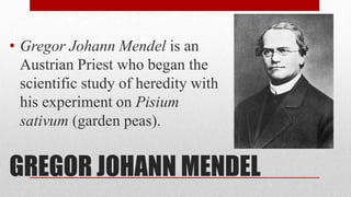 GREGOR JOHANN MENDEL
• Gregor Johann Mendel is an
Austrian Priest who began the
scientific study of heredity with
his experiment on Pisium
sativum (garden peas).
 