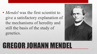 GREGOR JOHANN MENDEL
• Mendel was the first scientist to
give a satisfactory explanation of
the mechanisms of heredity and
still the basis of the study of
genetics.
 