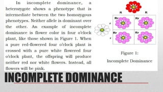 INCOMPLETE DOMINANCE
 