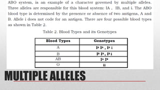 MULTIPLE ALLELES
 