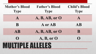 MULTIPLE ALLELES
Mother’s Blood
Type
Father’s Blood
Type
Child’s Blood
Type
A A, B, AB, or O A
B A or AB AB
AB A, B, AB, or O B
O A, B, or O O
 