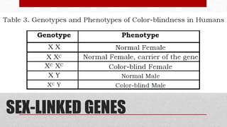 SEX-LINKED GENES
 
