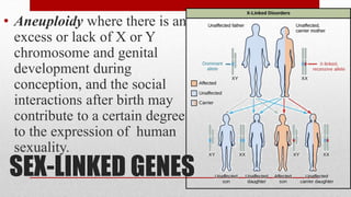 SEX-LINKED GENES
• Aneuploidy where there is an
excess or lack of X or Y
chromosome and genital
development during
conception, and the social
interactions after birth may
contribute to a certain degree
to the expression of human
sexuality.
 