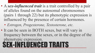 SEX-INFLUENCED TRAITS
• A sex-influenced trait is a trait controlled by a pair
of alleles found on the autosomal chromosomes
(pairs 1 through 22) but its phenotypic expression is
influenced by the presence of certain hormones.
• Estrogen, Progesterone, Testosterone, etc.
• It can be seen in BOTH sexes, but will vary in
frequency between the sexes, or in the degree of the
phenotypic expression.
 