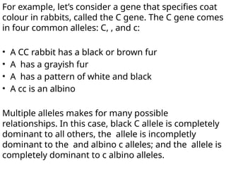 For example, let’s consider a gene that specifies coat
colour in rabbits, called the C gene. The C gene comes
in four common alleles: C, , and c:
• A CC rabbit has a black or brown fur
• A has a grayish fur
• A has a pattern of white and black
• A cc is an albino
Multiple alleles makes for many possible
relationships. In this case, black C allele is completely
dominant to all others, the allele is incompletly
dominant to the and albino c alleles; and the allele is
completely dominant to c albino alleles.
 