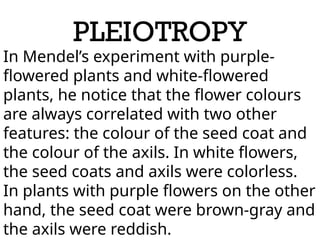 PLEIOTROPY
In Mendel’s experiment with purple-
flowered plants and white-flowered
plants, he notice that the flower colours
are always correlated with two other
features: the colour of the seed coat and
the colour of the axils. In white flowers,
the seed coats and axils were colorless.
In plants with purple flowers on the other
hand, the seed coat were brown-gray and
the axils were reddish.
 