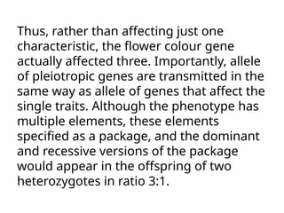 Thus, rather than affecting just one
characteristic, the flower colour gene
actually affected three. Importantly, allele
of pleiotropic genes are transmitted in the
same way as allele of genes that affect the
single traits. Although the phenotype has
multiple elements, these elements
specified as a package, and the dominant
and recessive versions of the package
would appear in the offspring of two
heterozygotes in ratio 3:1.
 
