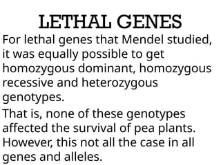 LETHAL GENES
For lethal genes that Mendel studied,
it was equally possible to get
homozygous dominant, homozygous
recessive and heterozygous
genotypes.
That is, none of these genotypes
affected the survival of pea plants.
However, this not all the case in all
genes and alleles.
 