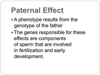 Paternal Effect
 A phenotype results from the
genotype of the father
 The genes responsible for these
effects are components
of sperm that are involved
in fertilization and early
development.
 
