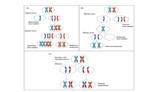 NON-MENDELIAN PRESENTATIOnnnN[1](2).pptx