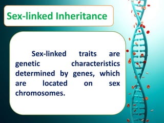 Sex-linked Inheritance
Sex-linked traits are
genetic characteristics
determined by genes, which
are located on sex
chromosomes.
 
