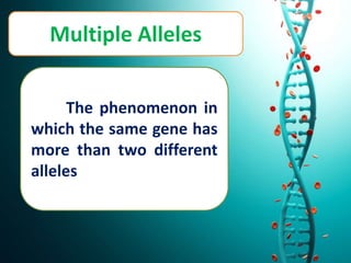 Multiple Alleles
The phenomenon in
which the same gene has
more than two different
alleles
 