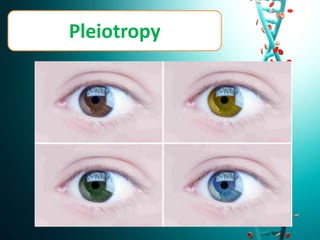 Pleiotropy
 