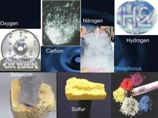 Selenium
Sulfur
Phosphorus
Oxygen
Nitrogen
Carbon
Hydrogen
 