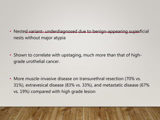 • Nested variant- underdiagnosed due to benign-appearing superficial
nests without major atypia
• Shown to correlate with upstaging, much more than that of high-
grade urothelial cancer.
• More muscle-invasive disease on transurethral resection (70% vs.
31%), extravesical disease (83% vs. 33%), and metastatic disease (67%
vs. 19%) compared with high grade lesion
 