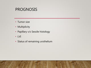 PROGNOSIS
• Tumor size
• Multiplicity
• Papillary v/s Sessile histology
• LVI
• Status of remaining urothelium
 