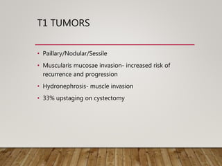 T1 TUMORS
• Paillary/Nodular/Sessile
• Muscularis mucosae invasion- increased risk of
recurrence and progression
• Hydronephrosis- muscle invasion
• 33% upstaging on cystectomy
 