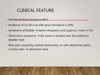 CLINICAL FEATURE
• Painless Profuse hematuria-85%
• Incidence of Ca UB in pt with gross hematuria is 20%.
• Symptoms of bladder irritation (frequency and urgency)- more in CIS
• Obstructive symptoms- if the tumor is located near the urethra or
bladder neck
• flank pain caused by ureteral obstruction, or with abdominal, pelvic,
or bone pain- in advanced cases
 