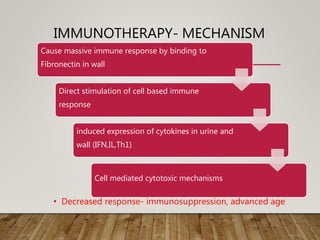 IMMUNOTHERAPY- MECHANISM
• Decreased response- immunosuppression, advanced age
Cause massive immune response by binding to
Fibronectin in wall
Direct stimulation of cell based immune
response
induced expression of cytokines in urine and
wall (IFN,IL,Th1)
Cell mediated cytotoxic mechanisms
 