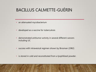 BACILLUS CALMETTE-GUÉRIN
• an attenuated mycobacterium
• developed as a vaccine for tuberculosis
• demonstrated antitumor activity in several different cancers
including UC
• success with intravesical regimen shown by Brosman (1982)
• is stored in cold and reconstituted from a lyophilized powder.
 