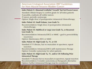 Non muscle invasive bladder cancer