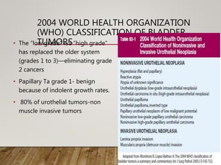2004 WORLD HEALTH ORGANIZATION
(WHO) CLASSIFICATION OF BLADDER
TUMORS
• The “low grade” v/s “high grade”
has replaced the older system
(grades 1 to 3)—eliminating grade
2 cancers
• Papillary Ta grade 1- benign
because of indolent growth rates.
• 80% of urothelial tumors-non
muscle invasive tumors
 