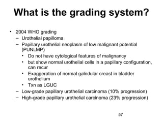 Bladder Cancer NMIBC [Dr.Edmond Wong] | PPT
