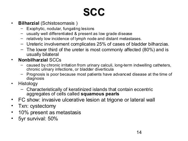 Bladder Cancer NMIBC Dr.Edmond Wong