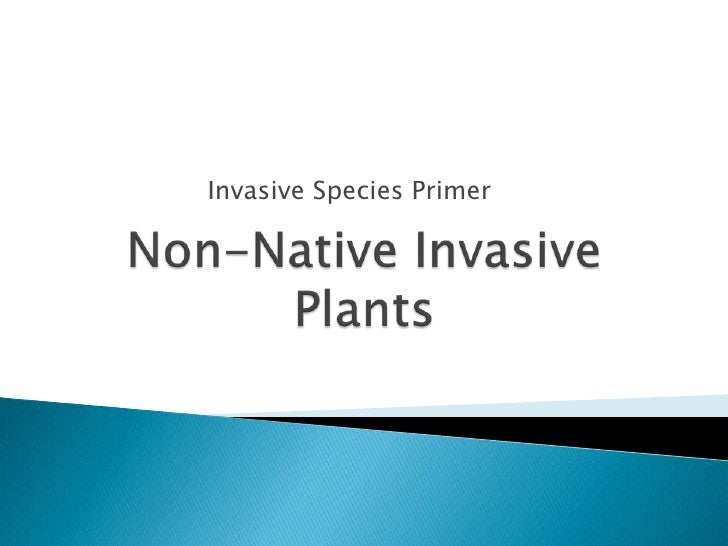 Non Native Invasive Plants Non Native Invasive Plants