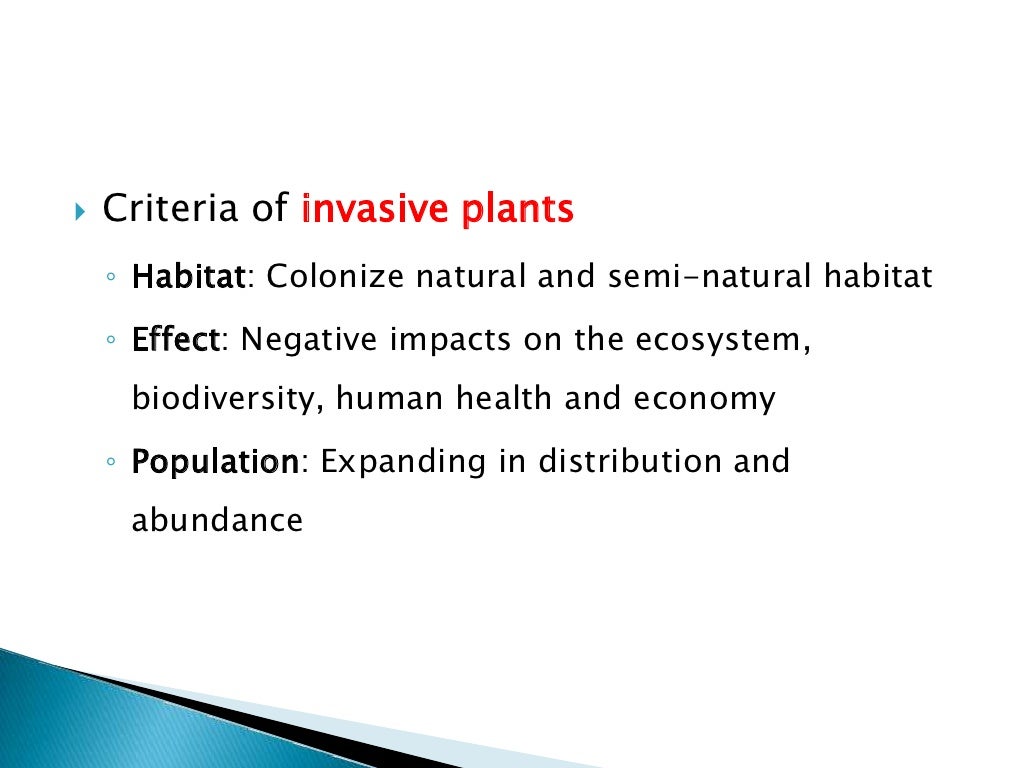 Non Native Invasive Plants Non Native Invasive Plants