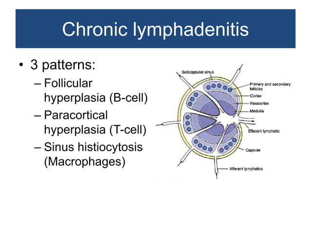 Non neoplastic lesions of lymph node | PPTX | Blood Disorders ...