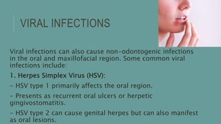 VIRAL INFECTIONS
Viral infections can also cause non-odontogenic infections
in the oral and maxillofacial region. Some common viral
infections include:
1. Herpes Simplex Virus (HSV):
- HSV type 1 primarily affects the oral region.
- Presents as recurrent oral ulcers or herpetic
gingivostomatitis.
- HSV type 2 can cause genital herpes but can also manifest
as oral lesions.
 