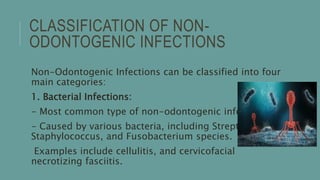 CLASSIFICATION OF NON-
ODONTOGENIC INFECTIONS
Non-Odontogenic Infections can be classified into four
main categories:
1. Bacterial Infections:
- Most common type of non-odontogenic infections.
- Caused by various bacteria, including Streptococcus,
Staphylococcus, and Fusobacterium species.
Examples include cellulitis, and cervicofacial
necrotizing fasciitis.
 