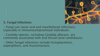 3. Fungal Infections:
- Fungi can cause oral and maxillofacial infections,
especially in immunocompromised individuals.
- Candida species, including Candida albicans, are
commonly associated with oral thrush (oral candidiasis).
- Other fungal infections include histoplasmosis,
aspergillosis, and mucormycosis.
 