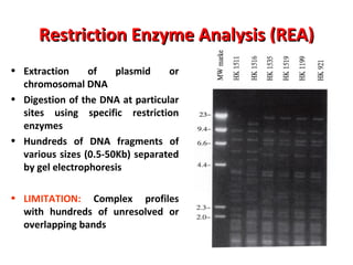 Non-PCR-based Molecular Methods | PPT