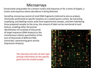 Target Sample Of Microarray Non-PCR-based Molecular Methods | PPT