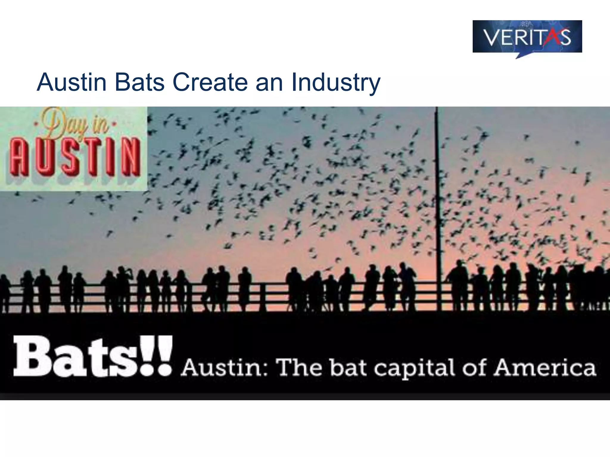 Austin Bats Create an Industry
 