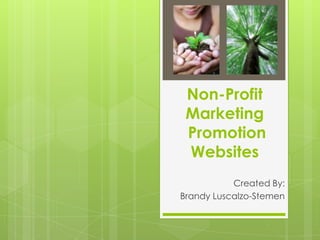 Non-Profit
 Marketing
 Promotion
 Websites
           Created By:
Brandy Luscalzo-Stemen
 