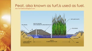 Peat, also known as turf,is used as fuel.
discover-ireland.blogspot.com
 
