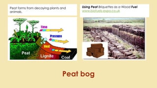 Using Peat Briquettes as a Wood Fuel
www.biofuels-expo.co.uk
Peat forms from decaying plants and
animals.
Peat bog
 