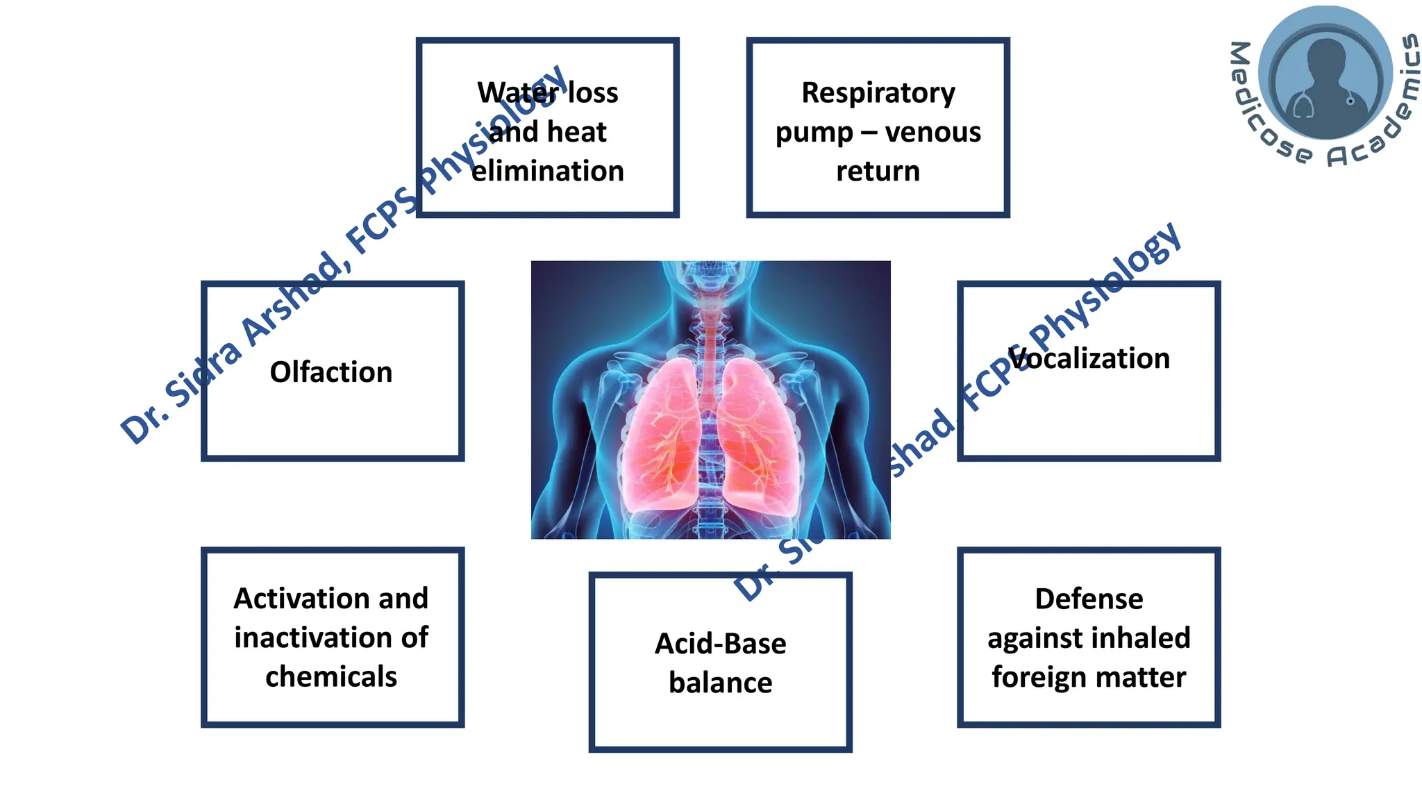 Non-respiratory Functions of the Lungs.pdf