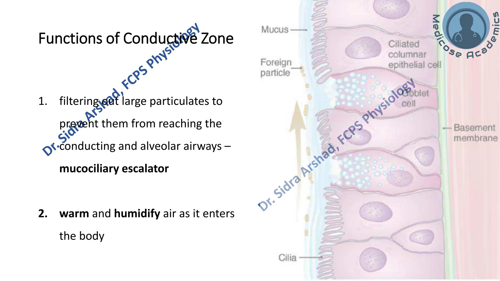 Non-respiratory Functions of the Lungs.pdf