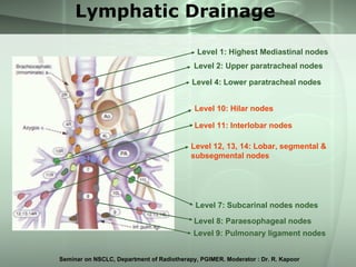 Non Small Cell Lung Cancer | PPT