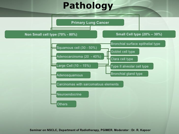 non small cell lung cancer ppt Non small cell lung cancer.