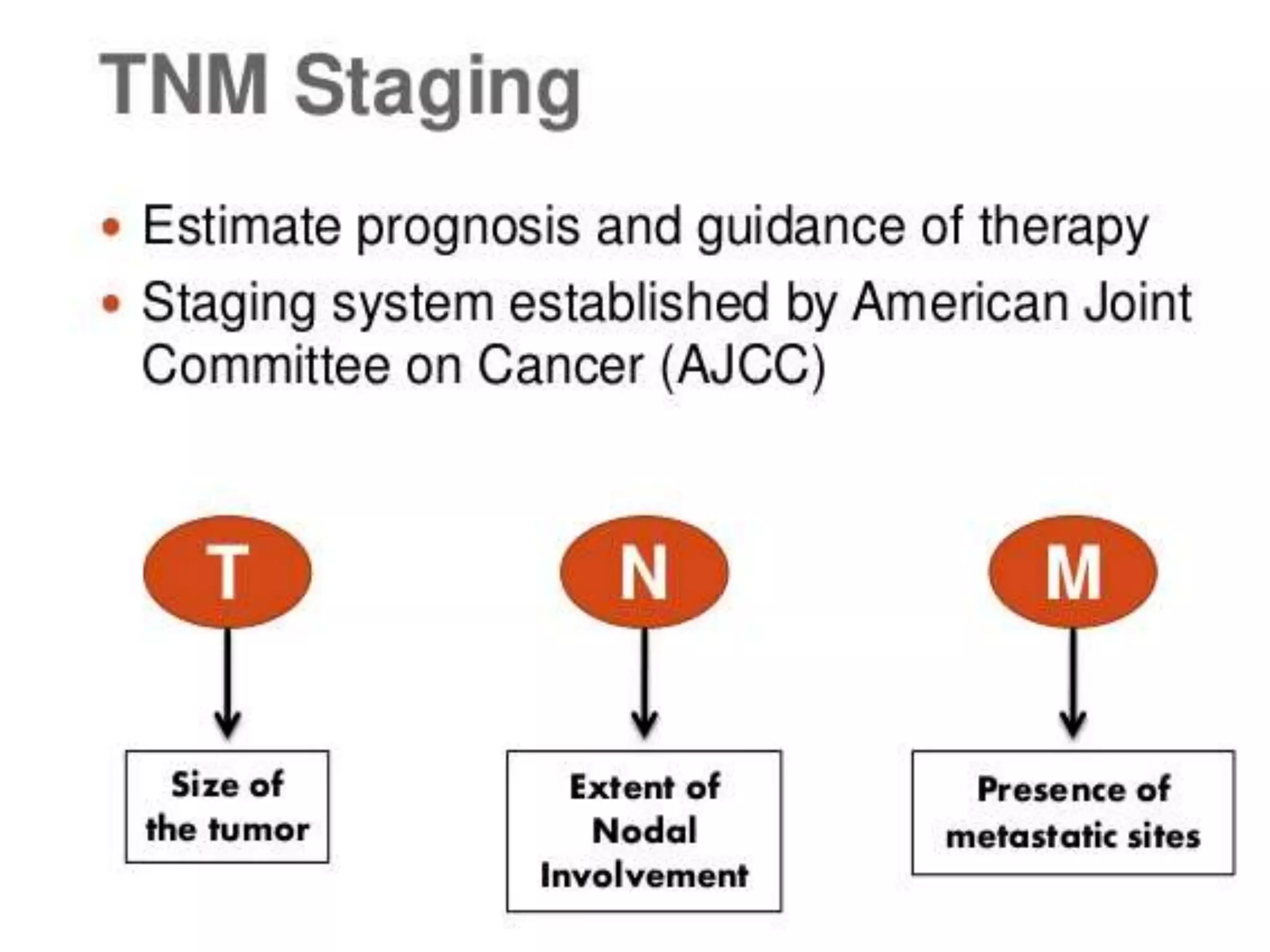Non small cell lung cancer | PPTX
