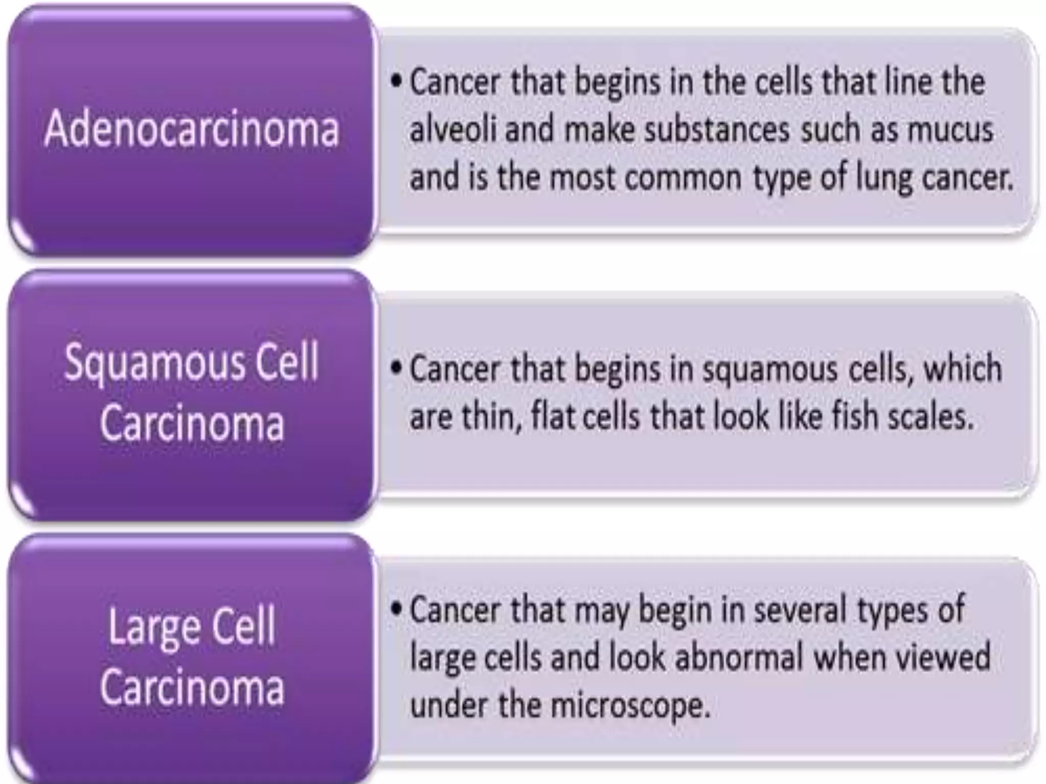 Non small cell lung cancer | PPTX
